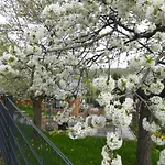 Teufelsmauerblick By Interhome Prázdninový dům Thale