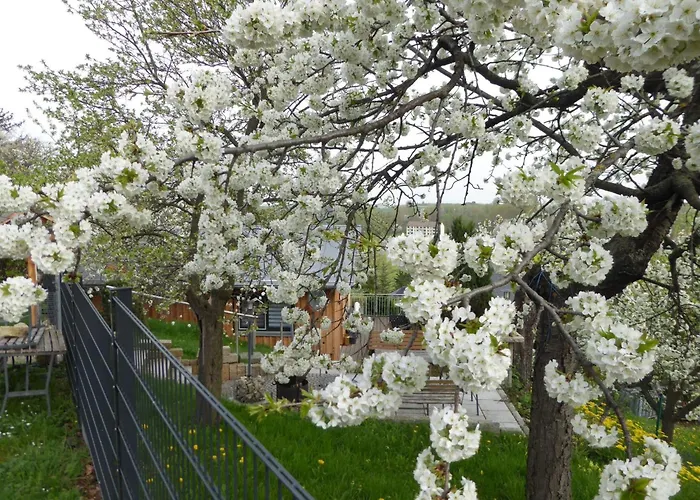 Teufelsmauerblick By Interhome Ferienhaus Thale